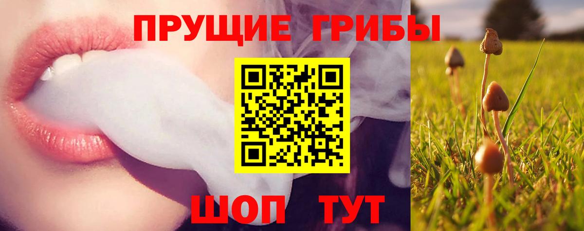 Лысьва  Псилоцибиновые грибы Psilocybe  Вход с VPN 